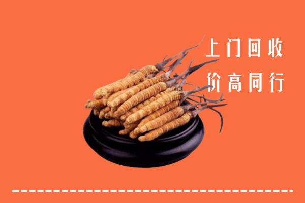 高价求购：马龙区回收散虫草