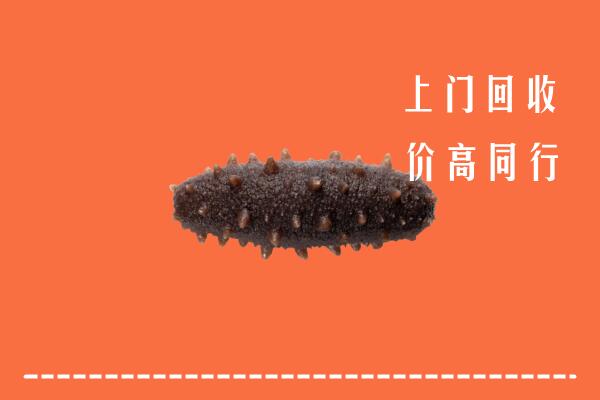 马龙区回收海参